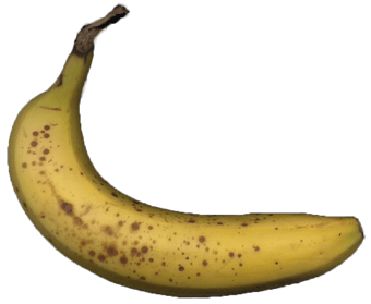 photo of a banana